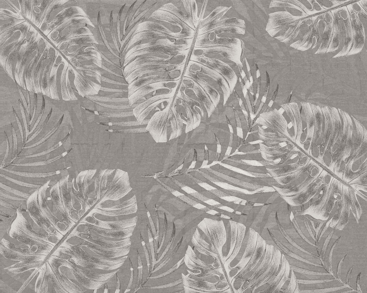 Carta da parati - Monstera