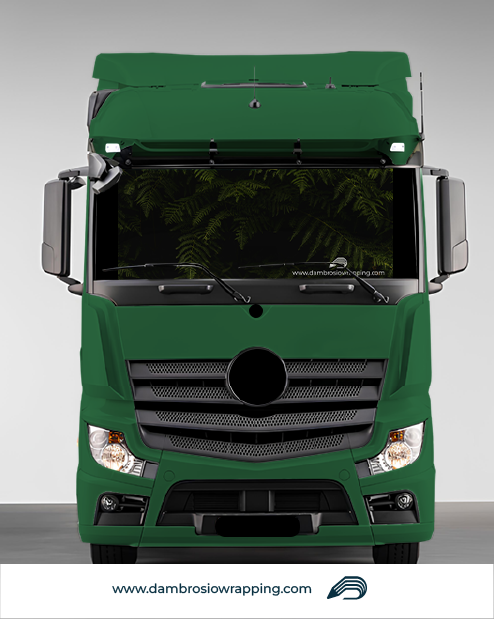 Tenda a rullo oscurante - Albero Pino