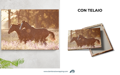 Tela / Quadro Cavalli Tramonto