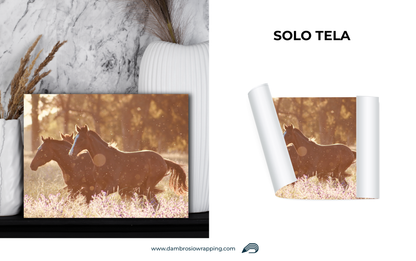 Tela / Quadro Cavalli Tramonto