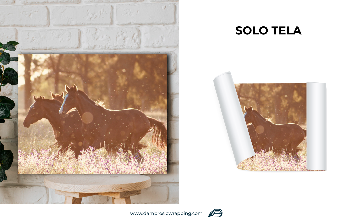 Tela / Quadro Cavalli Tramonto