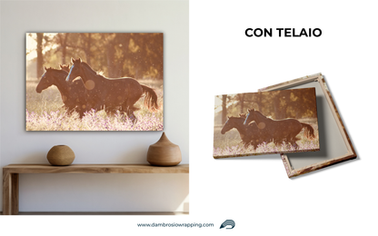 Tela / Quadro Cavalli Tramonto