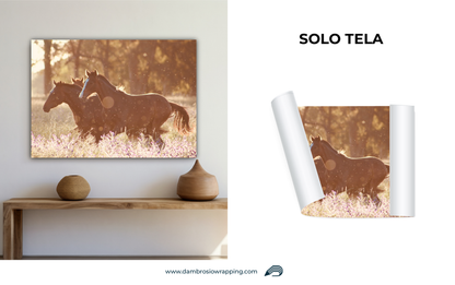 Tela / Quadro Cavalli Tramonto