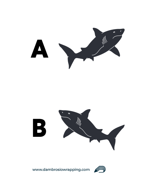 Adesivo Squalo stilizzato