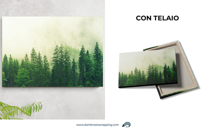 Tela / Quadro Foresta di Pini
