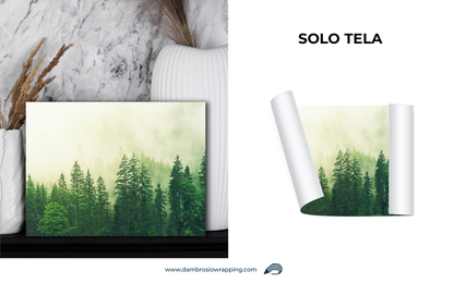 Tela / Quadro Foresta di Pini