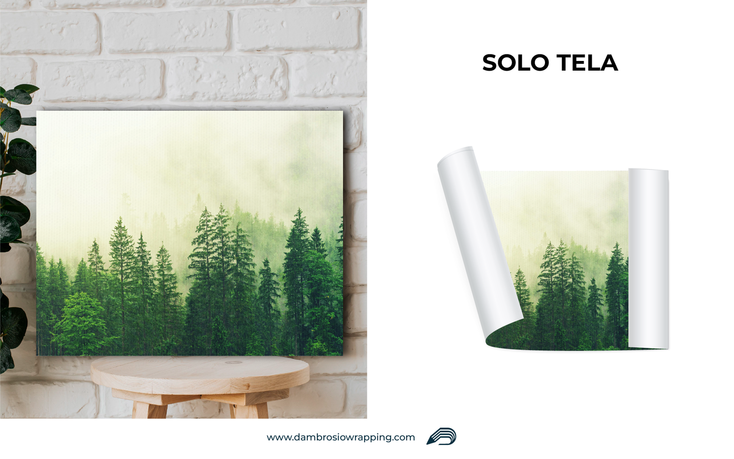 Tela / Quadro Foresta di Pini