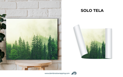 Tela / Quadro Foresta di Pini