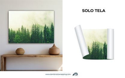 Tela / Quadro Foresta di Pini