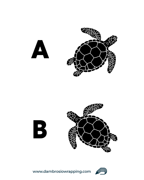 Adesivo Tartaruga stilizzata