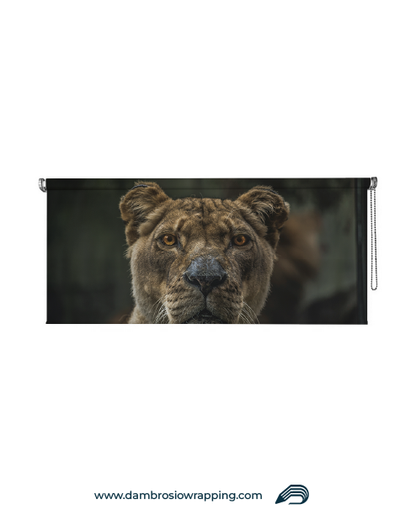 Tenda a rullo oscurante - Leonessa