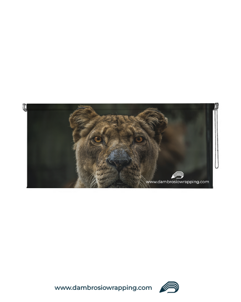 Tenda a rullo oscurante - Leonessa