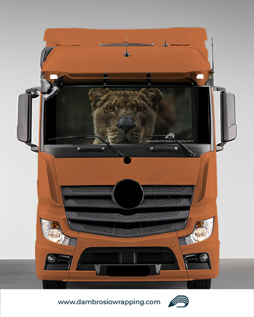 Tenda a rullo oscurante - Leonessa