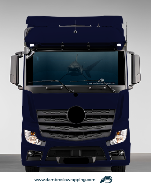 Blackout Roller Blind - Shark